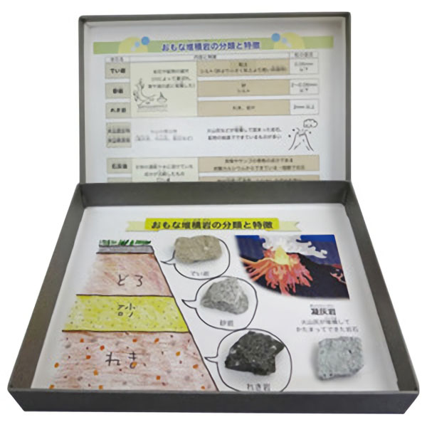 UCHIDASウチダス標本 おもな堆積岩: 理科
