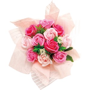 �X�J�[���b�g�u�[�P�i�\�[�v�t�����[�j