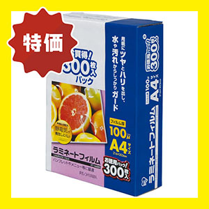 �yWEB�����z���~�l�[�g�t�B�����P�O�O�ʂ`�S�@�R�O�O��×2