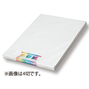 �G�X�P���g�L�����A No.421�E8��100����
