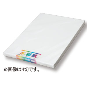 �G�X�P���g���p No.300�E8��100����